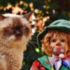Behind the Colorful Face: The Intriguing World of Clown Barb