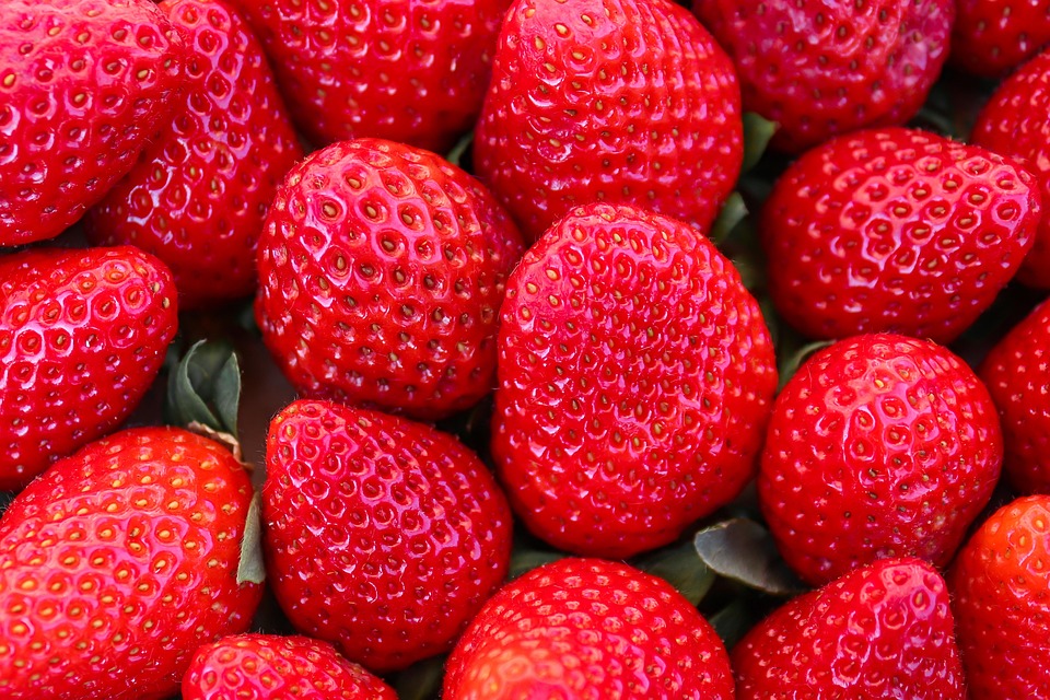 Beyond Salad: 10 Exciting Herbivore Veggie Options That Will Transform Your Meatless Meals