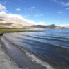 Brackish Wonders: Exploring the Hidden Beauty and Biodiversity of Our Transitional Waters