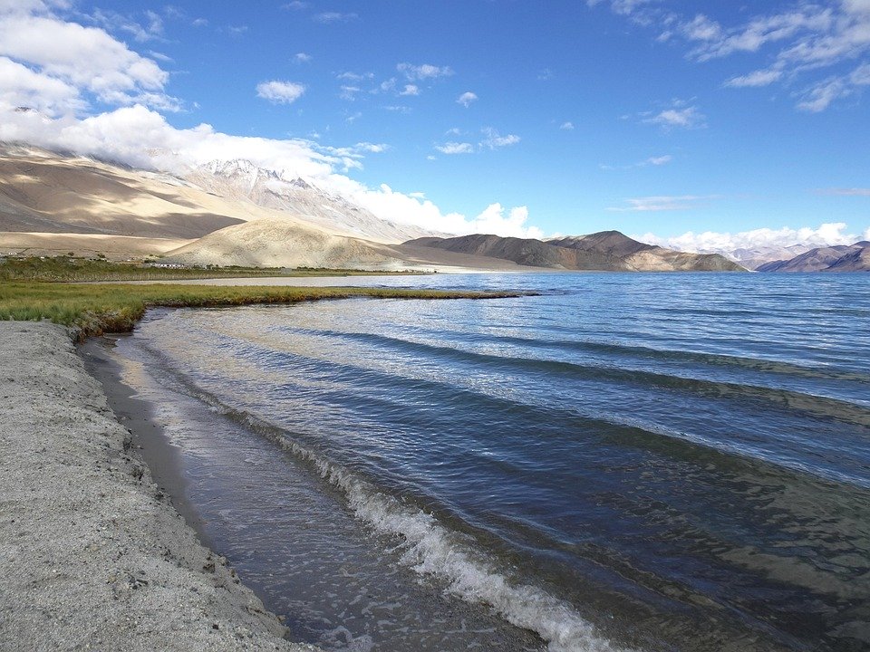 Brackish Wonders: Exploring the Hidden Beauty and Biodiversity of Our Transitional Waters