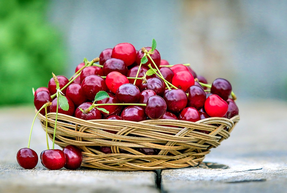 Cherry Barb: The Colorful Gem of the Aquatic World – Care Tips and Fascinating Facts!