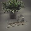 Clear the Air: The Ultimate Guide to Keeping Your CO2 Diffuser Sparkling Clean