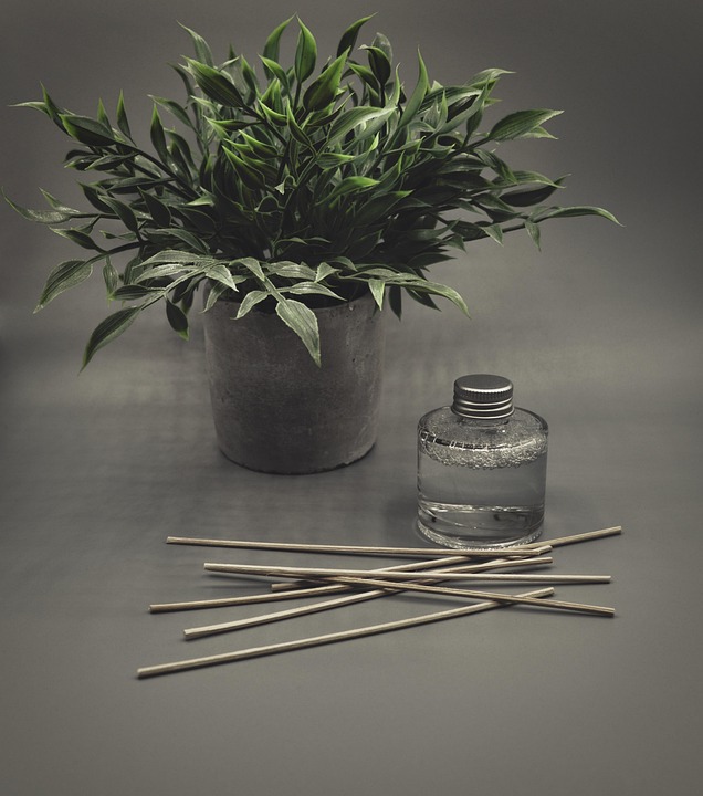 Clear the Air: The Ultimate Guide to Keeping Your CO2 Diffuser Sparkling Clean