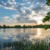 Crystal Clear: Top Tips for Achieving Sparkling Water Clarity in Your Home and Garden