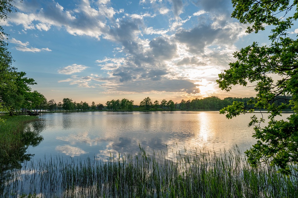 Crystal Clear: Top Tips for Achieving Sparkling Water Clarity in Your Home and Garden