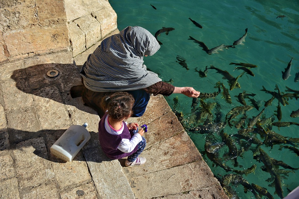 Feeding Frenzy: The Power of Consistency in Your Pet’s Meal Schedule