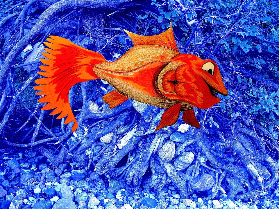 “Making Waves: Exploring the Best Fish-Friendly Materials for Sustainable Aquatic Living”