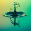 Mastering the Art of Surface Feeding: Top Tips for a Thriving Aquatic Ecosystem!
