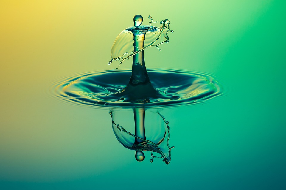 Mastering the Art of Surface Feeding: Top Tips for a Thriving Aquatic Ecosystem!