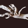 Nature's Artisan: The Art and Science of Soaking Driftwood for Your Home Decor