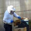 Transforming Our Waters: Innovative Strategies for Nitrate Reduction and a Greener Future