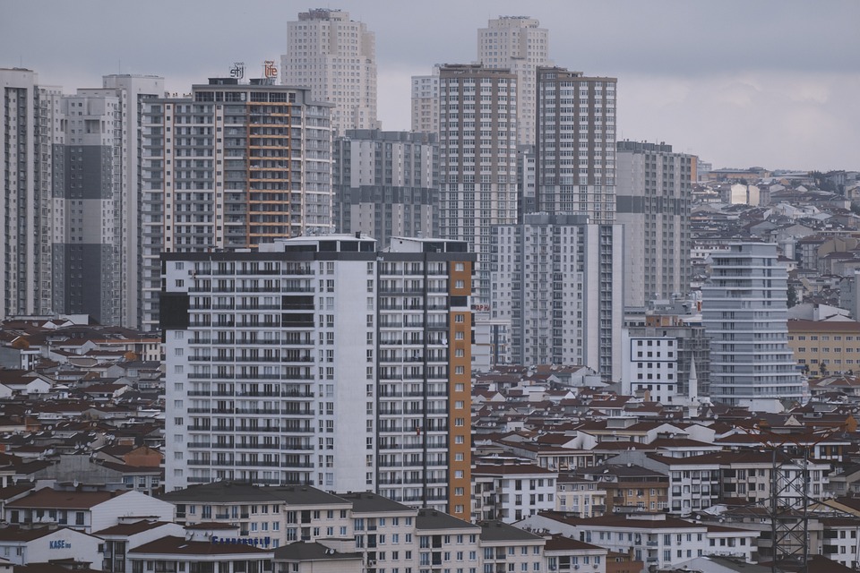 Unleashing the Wild: Mastering Jungle Style Density for Limitless Creativity