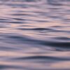 Unlocking the Power of Water: How Choosing the Right Powerhead Can Transform Your Aquarium Flow!