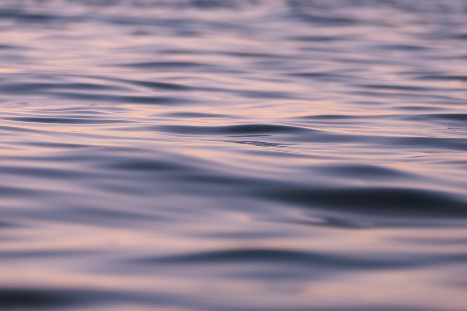 Unlocking the Power of Water: How Choosing the Right Powerhead Can Transform Your Aquarium Flow!