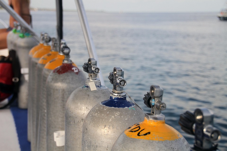 Unlocking the Secrets of Aquatic Life: The Science and Significance of Dissolved Oxygen Levels
