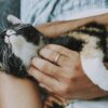Unlocking the Secrets of Care Level: How to Elevate Your Well-being and Relationships