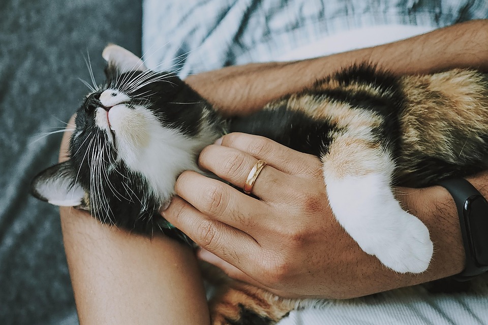 Unlocking the Secrets of Care Level: How to Elevate Your Well-being and Relationships