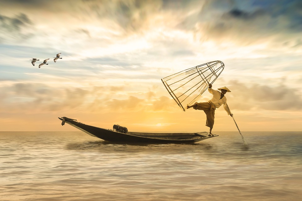 Unlocking the Secrets of Water: How to Achieve Perfect Hardness Balance for Healthier Living