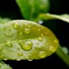Chill Out! Embracing the Seasonal Shift: Your Ultimate Temperature Drop Game Plan