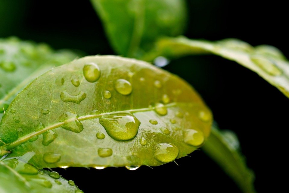 Chill Out! Embracing the Seasonal Shift: Your Ultimate Temperature Drop Game Plan