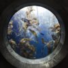 Dive into Community: Discover the Top Benefits of Joining an Aquarium Club!