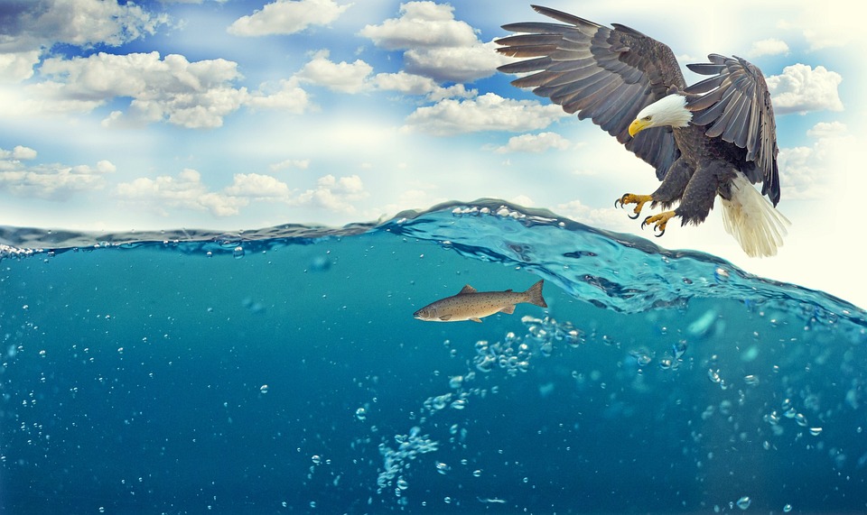 Timing is Everything: Mastering the Art of Water Testing for Optimal Quality